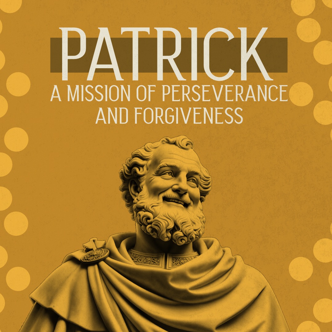 Any Video By Blocs Builder